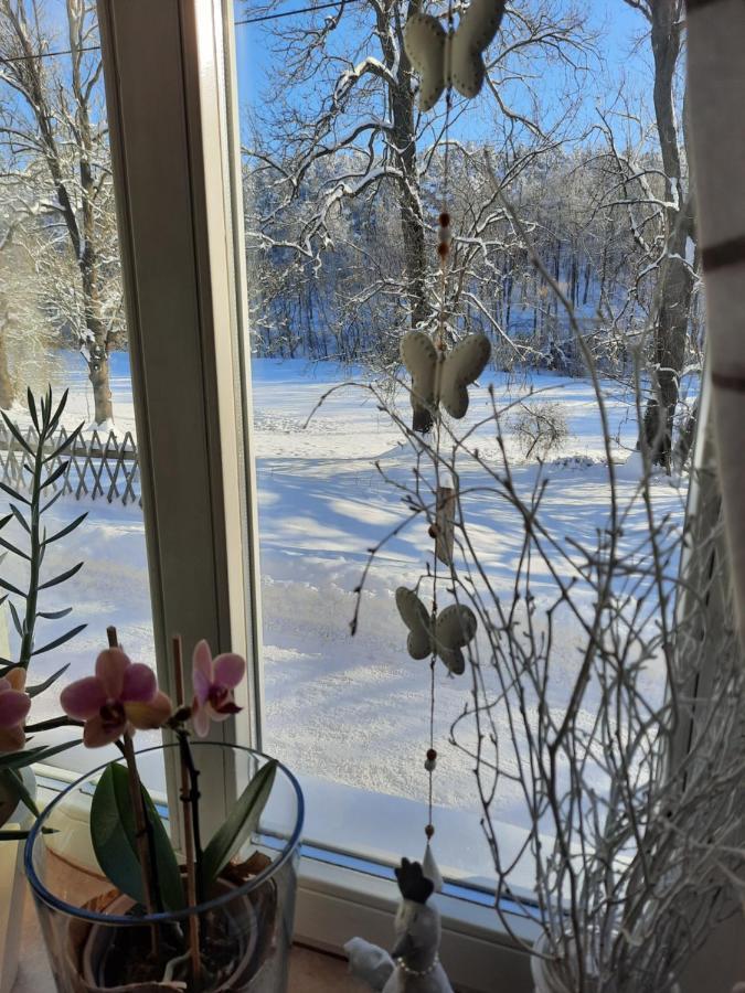 Pension Kastanienhof Zeulenroda-Triebes Eksteriør billede